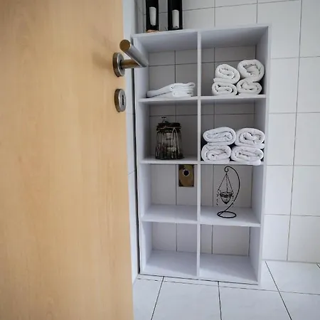 Fe Wo Europa Park - Rulantica-strassburg - Colmar - Klimaanlage- Wallbox * シュヴァナウ