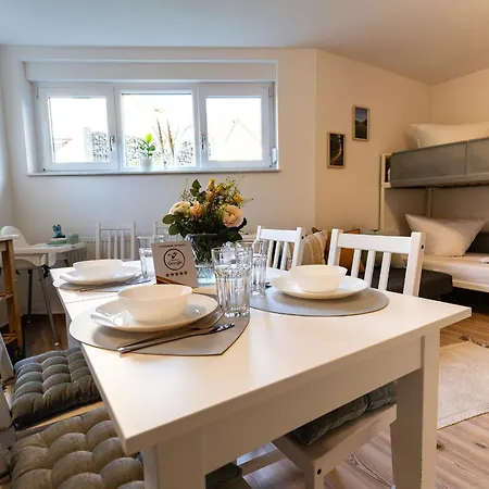 Apartment Fe Wo Europa Park - Strassburg - Colmar - Wallbox Schwanau