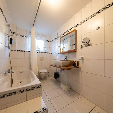 Fe Wo Europa Park - Rulantica-strassburg - Colmar - Klimaanlage- Wallbox