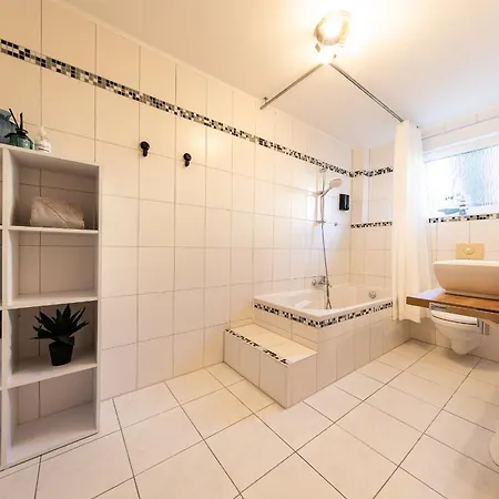 Fe Wo Europa Park - Rulantica-strassburg - Colmar - Klimaanlage- Wallbox シュヴァナウ