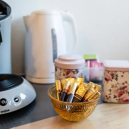 Fe Wo Europa Park - Rulantica-strassburg - Colmar - Klimaanlage- Wallbox アパート シュヴァナウ