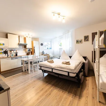 Fe Wo Europa Park - Rulantica-strassburg - Colmar - Klimaanlage- Wallbox * シュヴァナウ