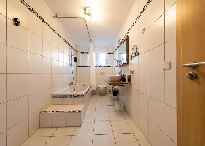 Fe Wo Europa Park - Rulantica-strassburg - Colmar - Klimaanlage- Wallbox 施瓦瑙