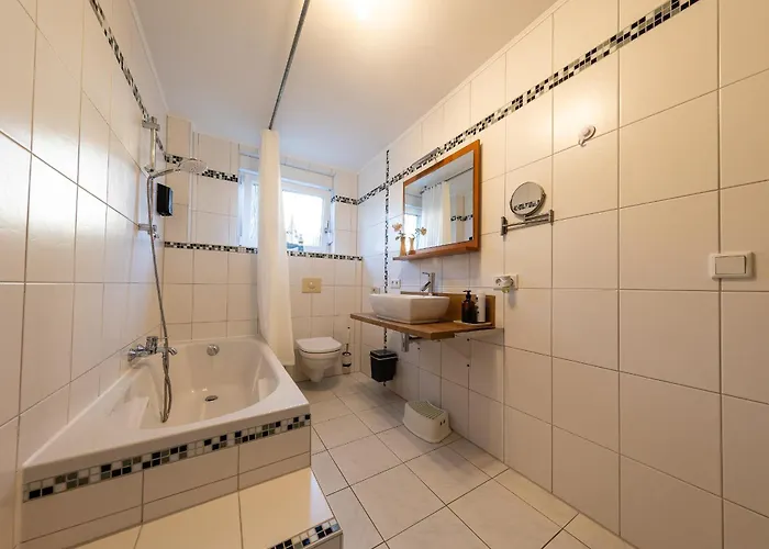 Fe Wo Europa Park - Rulantica-strassburg - Colmar - Klimaanlage- Wallbox