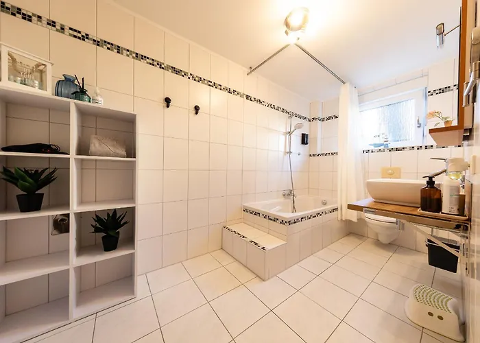 Fe Wo Europa Park - Rulantica-strassburg - Colmar - Klimaanlage- Wallbox 施瓦瑙