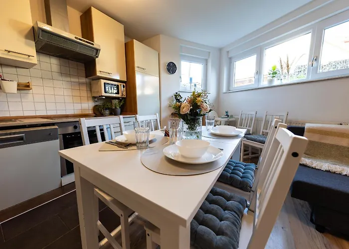 Fe Wo Europa Park - Rulantica-strassburg - Colmar - Klimaanlage- Wallbox * 施瓦瑙