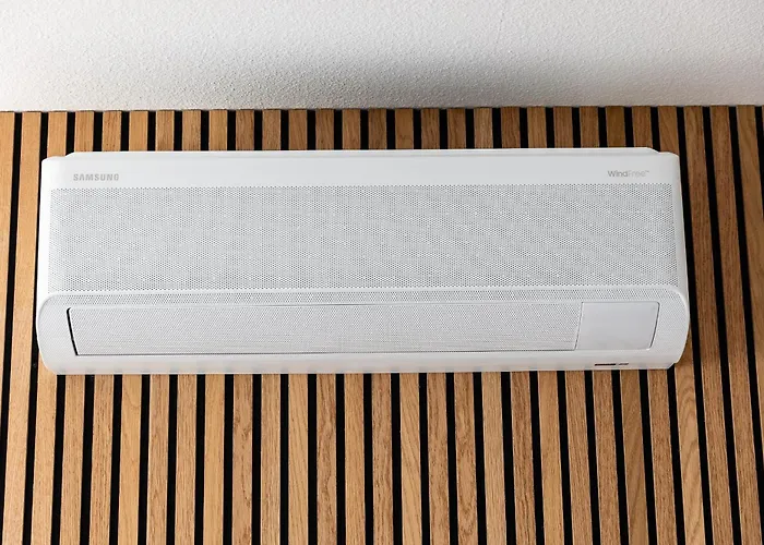 Fe Wo Europa Park - Rulantica-strassburg - Colmar - Klimaanlage- Wallbox